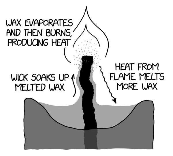 Exploring Where Does Wax Come From For Candles