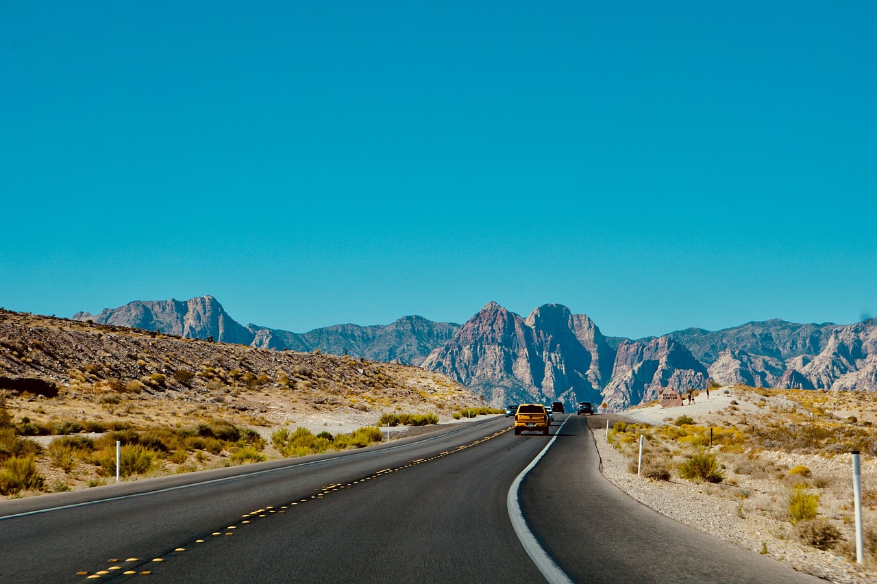 Essential Questions To Ask Before Booking Any Tour